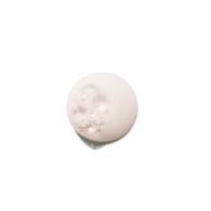 Chroma Absolu Bain Shampoo 250ml