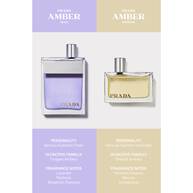 Amber pour Homme Classic EDT 100ml